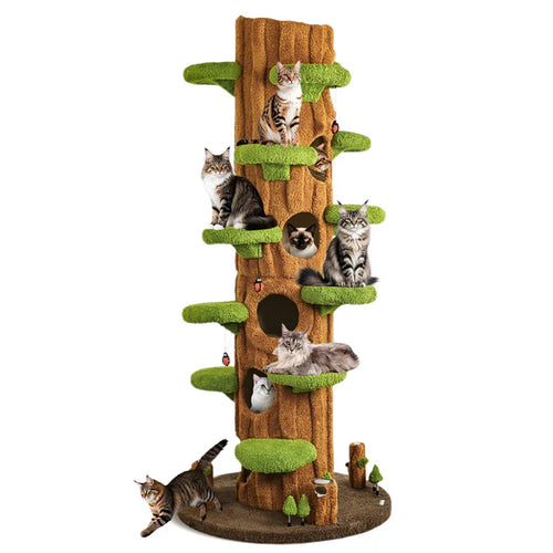 Your Cats Finally Have a Real Tree to Climb — And Your Living Room Still Looks Amazing