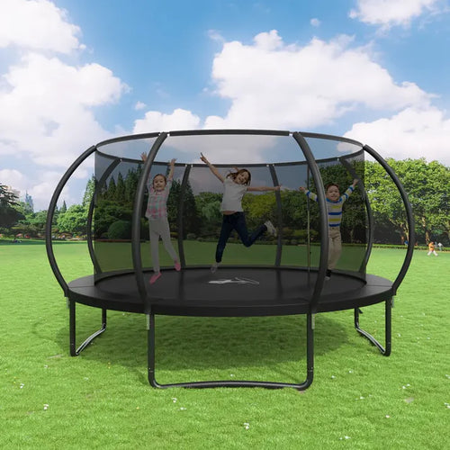 Where Backyard Fun Reaches New Heights